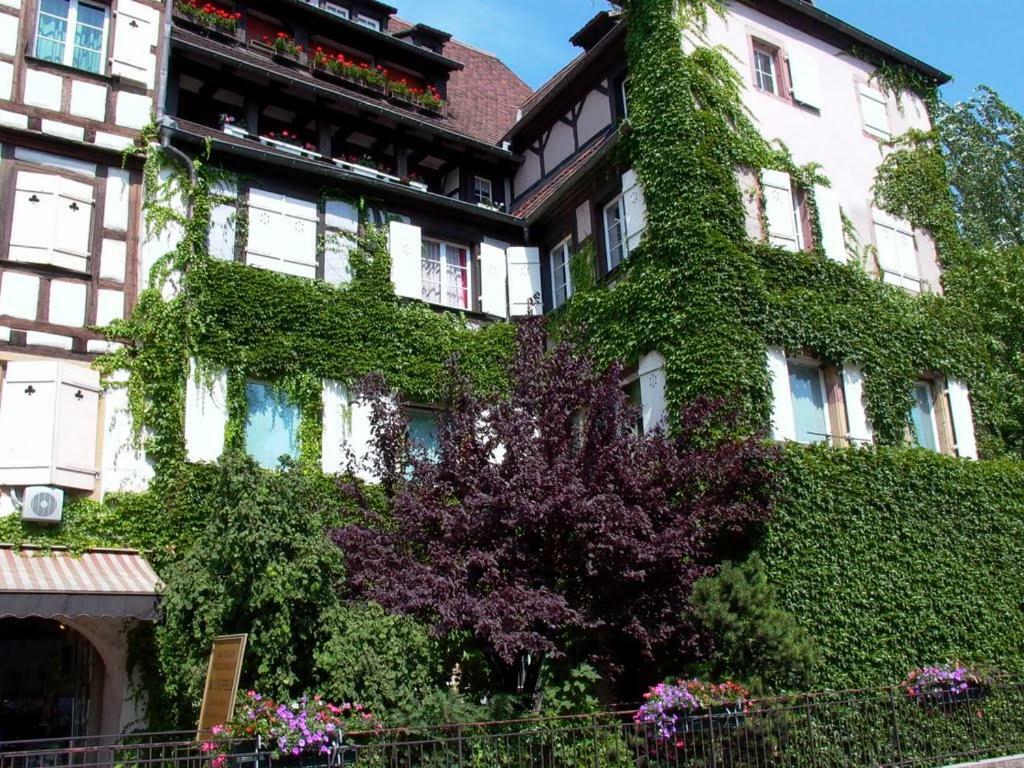 Ferienwohnung Chez Pauline Colmar Exterior foto