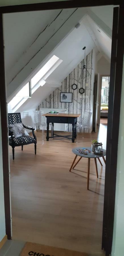 Ferienwohnung Chez Pauline Colmar Exterior foto