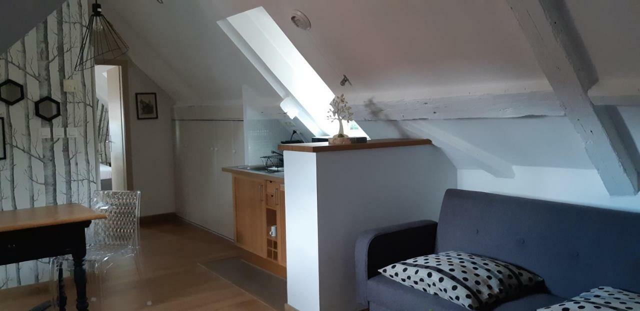 Ferienwohnung Chez Pauline Colmar Exterior foto